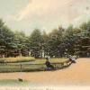 Post Card of Lawns - Contributed by Paul Porter
